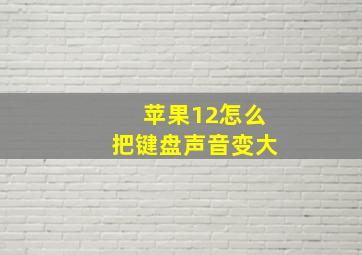 苹果12怎么把键盘声音变大