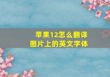 苹果12怎么翻译图片上的英文字体