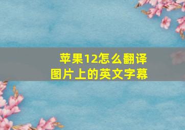 苹果12怎么翻译图片上的英文字幕