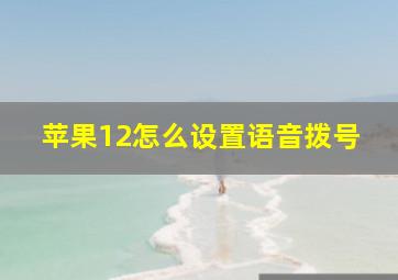 苹果12怎么设置语音拨号