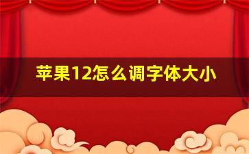 苹果12怎么调字体大小