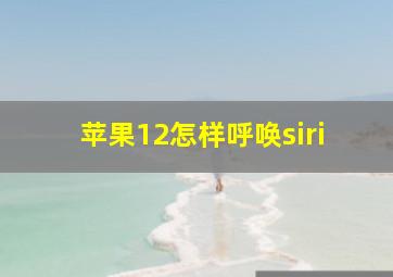 苹果12怎样呼唤siri