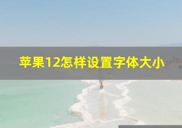 苹果12怎样设置字体大小