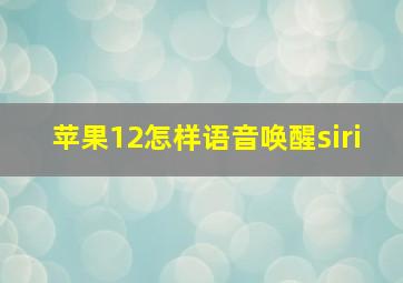 苹果12怎样语音唤醒siri