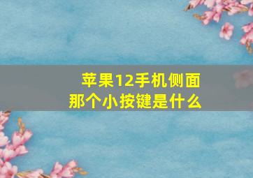 苹果12手机侧面那个小按键是什么