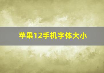 苹果12手机字体大小