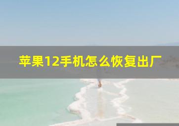 苹果12手机怎么恢复出厂