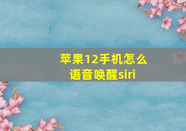 苹果12手机怎么语音唤醒siri