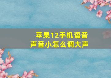 苹果12手机语音声音小怎么调大声