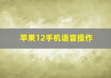 苹果12手机语音操作