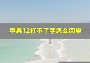 苹果12打不了字怎么回事