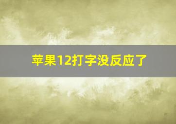 苹果12打字没反应了