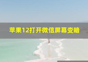 苹果12打开微信屏幕变暗