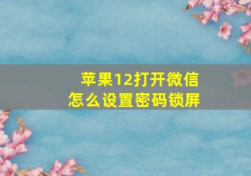 苹果12打开微信怎么设置密码锁屏