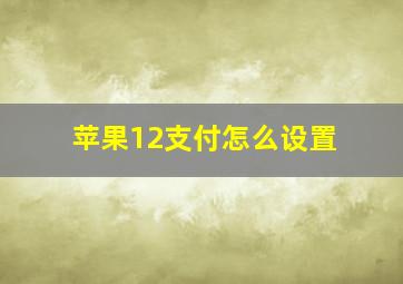 苹果12支付怎么设置