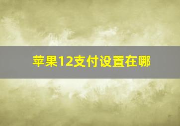 苹果12支付设置在哪