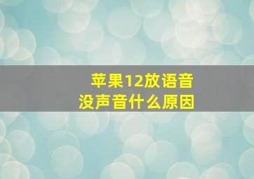 苹果12放语音没声音什么原因