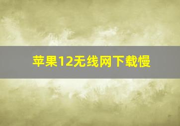 苹果12无线网下载慢