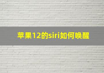 苹果12的siri如何唤醒