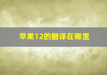 苹果12的翻译在哪里