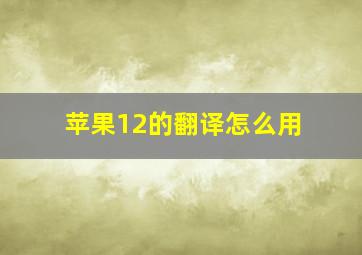 苹果12的翻译怎么用