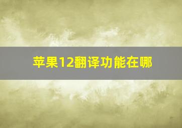 苹果12翻译功能在哪