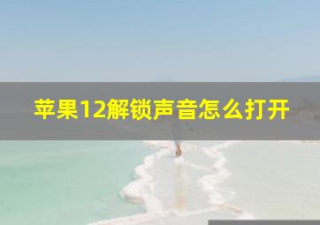 苹果12解锁声音怎么打开