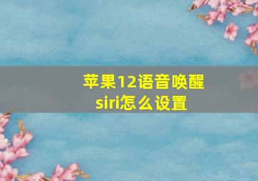 苹果12语音唤醒siri怎么设置