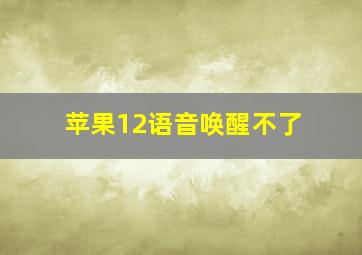 苹果12语音唤醒不了