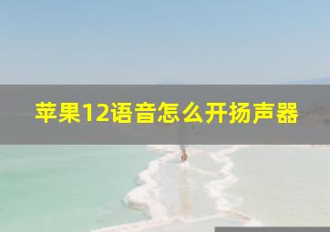 苹果12语音怎么开扬声器