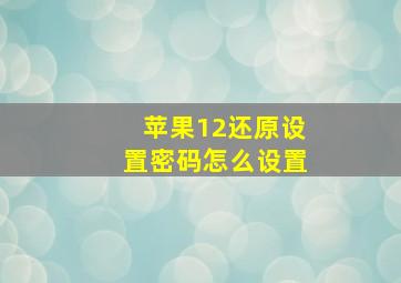 苹果12还原设置密码怎么设置