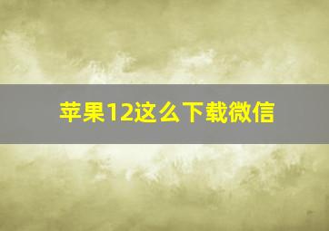 苹果12这么下载微信