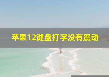 苹果12键盘打字没有震动