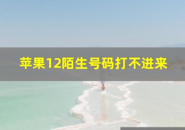 苹果12陌生号码打不进来