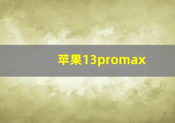 苹果13promax