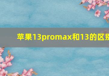 苹果13promax和13的区别