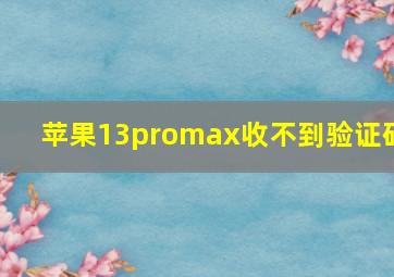 苹果13promax收不到验证码