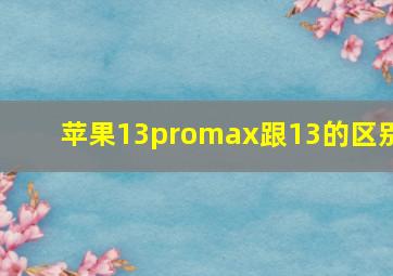 苹果13promax跟13的区别