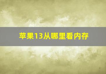 苹果13从哪里看内存