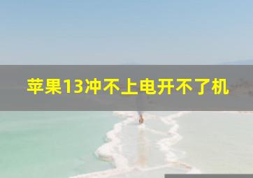 苹果13冲不上电开不了机