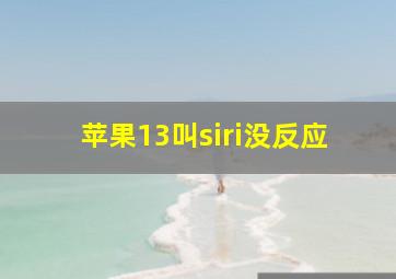 苹果13叫siri没反应