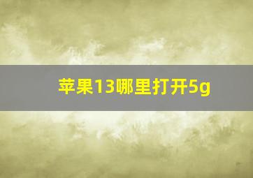 苹果13哪里打开5g