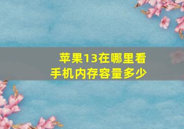 苹果13在哪里看手机内存容量多少