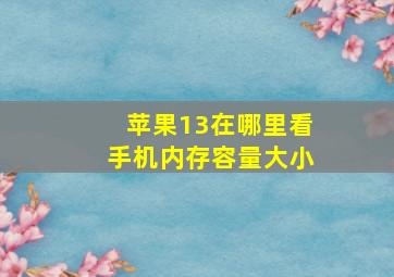 苹果13在哪里看手机内存容量大小