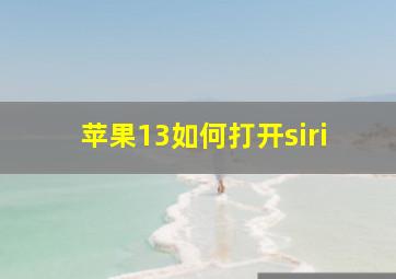 苹果13如何打开siri