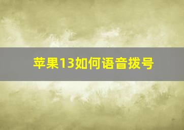 苹果13如何语音拨号