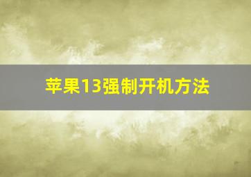 苹果13强制开机方法