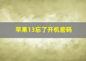 苹果13忘了开机密码