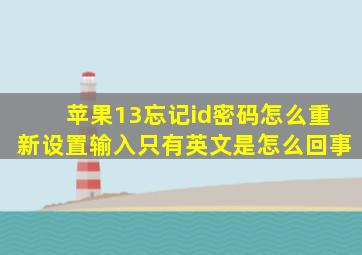 苹果13忘记id密码怎么重新设置输入只有英文是怎么回事