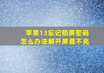 苹果13忘记锁屏密码怎么办法解开屏幕不亮